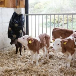 "HayBag" Heusack, Heutasche - Für Stall, Paddock, Transport Und Turnier, 85 Liter 14 "HayBag" Heusack, Heutasche - Für Stall, Paddock, Transport Und Turnier, 85 Liter -Optimal Ranchzaun Geschäft 504904 haybag schwarz klein heutasche fuer stall