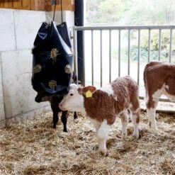 "HayBag" Heusack, Heutasche - Für Stall, Paddock, Transport Und Turnier, 195 Liter 14 "HayBag" Heusack, Heutasche - Für Stall, Paddock, Transport Und Turnier, 195 Liter -Optimal Ranchzaun Geschäft 504906 haybag schwarz heutasche fuer stall