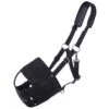 QHP Pferde Und Pony Fressbremse Mit Nasenlöchern 1 QHP Pferde Und Pony Fressbremse Mit Nasenlöchern -Optimal Ranchzaun Geschäft 505485 505486 505489 505487 505488 1 pferd pony fressbremse schwarz mit nasenlC3B6chern verstC3A4rkter maulkorb qhp