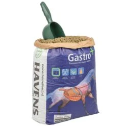 HAVENS "Gastro+", Pellets Für Pferde Mit Magenproblemen & Stress, 20kg 12 HAVENS "Gastro+", Pellets Für Pferde Mit Magenproblemen & Stress, 20kg -Optimal Ranchzaun Geschäft 508220 3 havens gastro pellets kraftfutter fuer pferde