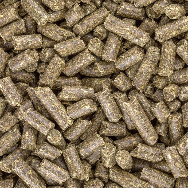 HAVENS "Gastro+", Pellets Für Pferde Mit Magenproblemen & Stress, 20kg 9 HAVENS "Gastro+", Pellets Für Pferde Mit Magenproblemen & Stress, 20kg – Bild 7