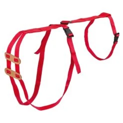 Vorfallbandage Für Schafe Mit Ledereinsatz, Verstellbar