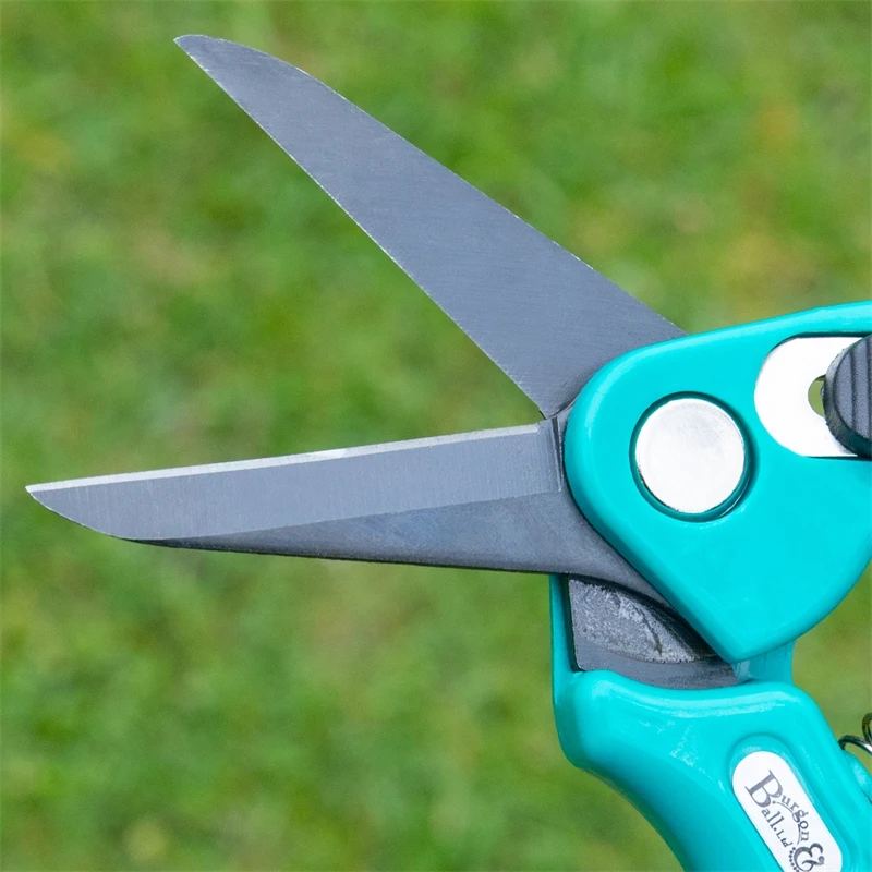 Klauenschere Für Schafe & Ziegen, Türkis 4 Klauenschere Für Schafe & Ziegen, Türkis – Bild 2