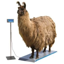 Tierwaage PS 1000, Bodenwaage Bis 500kg -Optimal Ranchzaun Geschäft 521300 tierwaage ps 1000 4