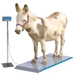 Tierwaage PS 1000, Bodenwaage Bis 500kg -Optimal Ranchzaun Geschäft 521300 tierwaage ps 1000 5