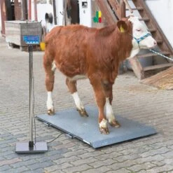 Tierwaage PS 2000, Bodenwaage Bis 1000kg -Optimal Ranchzaun Geschäft 521301 tierwaage ps 2000 3