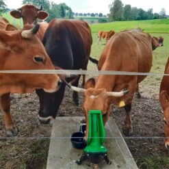 KERBL Weidepumpe Mit Seitlicher Trinkschale, Doppelhub Und 1 Zoll Anschluss, Viehtränke 8 KERBL Weidepumpe Mit Seitlicher Trinkschale, Doppelhub Und 1 Zoll Anschluss, Viehtränke -Optimal Ranchzaun Geschäft 521304 weidepumpe p100 mk 3