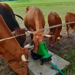 KERBL Weidepumpe Mit Seitlicher Trinkschale, Doppelhub Und 1 Zoll Anschluss, Viehtränke 9 KERBL Weidepumpe Mit Seitlicher Trinkschale, Doppelhub Und 1 Zoll Anschluss, Viehtränke -Optimal Ranchzaun Geschäft 521304 weidepumpe p100 mk 4