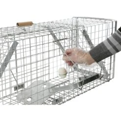 Lebendfalle Mit Schnapptüren - Kastenfalle Für Dachse Und Füchse, 33x42x118cm 12 Lebendfalle Mit Schnapptüren - Kastenfalle Für Dachse Und Füchse, 33x42x118cm -Optimal Ranchzaun Geschäft 531014 3 oeffnung mittiggelegen koederfalle eierhalter waschbaerfalle