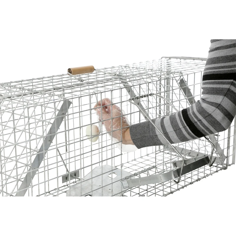 Lebendfalle Mit Schnapptüren - Kastenfalle Für Dachse Und Füchse, 33x42x118cm 6 Lebendfalle Mit Schnapptüren - Kastenfalle Für Dachse Und Füchse, 33x42x118cm – Bild 4