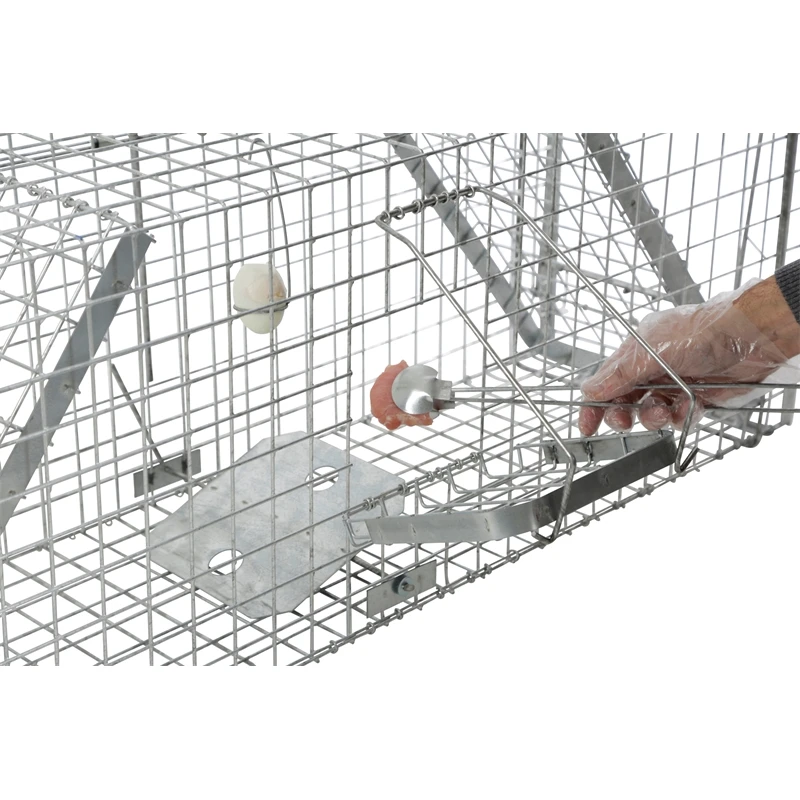 Lebendfalle Mit Schnapptüren - Kastenfalle Für Dachse Und Füchse, 33x42x118cm 9 Lebendfalle Mit Schnapptüren - Kastenfalle Für Dachse Und Füchse, 33x42x118cm – Bild 7