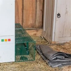 VOSS.farming Lebendfalle Mit Schnapptür - Marderfalle, Rattenfalle, 18,5x18,5x60cm 31 VOSS.farming Lebendfalle Mit Schnapptür - Marderfalle, Rattenfalle, 18,5x18,5x60cm -Optimal Ranchzaun Geschäft 531050 voss farming lebendfalle rattenfalle kleintierfalle praxisbild 11