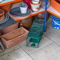 VOSS.farming Lebendfalle Mit Schnapptür - Marderfalle, Rattenfalle, 18,5x18,5x60cm 23 VOSS.farming Lebendfalle Mit Schnapptür - Marderfalle, Rattenfalle, 18,5x18,5x60cm -Optimal Ranchzaun Geschäft 531050 voss farming lebendfalle rattenfalle kleintierfalle praxisbild 3