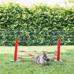 Agility Steilsprung Für Nager, 70x5x35cm 10 Agility Steilsprung Für Nager, 70x5x35cm -Optimal Ranchzaun Geschäft 558810 agility steilsprung 04