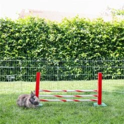 Agility Steilsprung Für Nager, 70x5x35cm 11 Agility Steilsprung Für Nager, 70x5x35cm -Optimal Ranchzaun Geschäft 558810 agility steilsprung 05