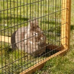 Kleintiergehege, Freilaufgehege Für Kaninchen, Meerschweinchen, Kleintiere, 116 X 116 X 58cm 11 Kleintiergehege, Freilaufgehege Für Kaninchen, Meerschweinchen, Kleintiere, 116 X 116 X 58cm -Optimal Ranchzaun Geschäft 559026 freilaufgehege mit ausbruchsperre mit seitlicher tuer