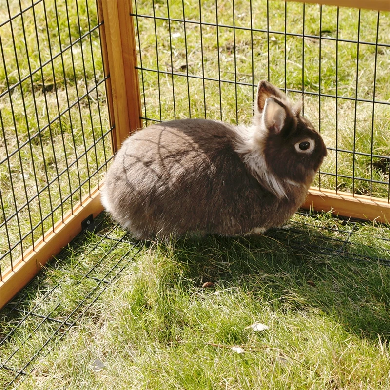 Kleintiergehege, Freilaufgehege Für Kaninchen, Meerschweinchen, Kleintiere, 116 X 116 X 58cm 8 Kleintiergehege, Freilaufgehege Für Kaninchen, Meerschweinchen, Kleintiere, 116 X 116 X 58cm – Bild 6
