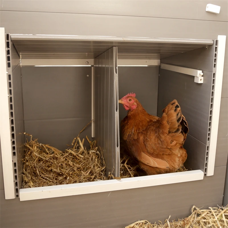 ECO-Kunststoffstall "Barney", Hühnerstall, Kaninchenstall 137 X 73 X 83cm 7 ECO-Kunststoffstall "Barney", Hühnerstall, Kaninchenstall 137 X 73 X 83cm – Bild 5