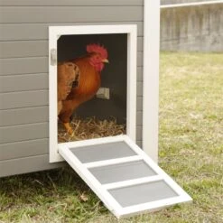 ECO-Kunststoffstall "Barney", Hühnerstall, Kaninchenstall 137 X 73 X 83cm 20 ECO-Kunststoffstall "Barney", Hühnerstall, Kaninchenstall 137 X 73 X 83cm -Optimal Ranchzaun Geschäft 559262 eco kunststoffstall barney huehner seitliche tuer