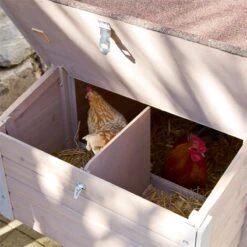 Hühnerstall "Emma" Inkl. Legenester + Sitzstangen, 146 X 74 X 85cm -Optimal Ranchzaun Geschäft 559264 huehnerstall emma inklusive legenester