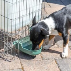 Automatische Tränke P-3 ABS Mit Tank Für Haustiere 39 Automatische Tränke P-3 ABS Mit Tank Für Haustiere -Optimal Ranchzaun Geschäft 560445 automatische traenke mit tank 18