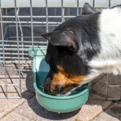 Automatische Tränke P-3 ABS Mit Tank Für Haustiere 40 Automatische Tränke P-3 ABS Mit Tank Für Haustiere -Optimal Ranchzaun Geschäft 560445 automatische traenke mit tank 19