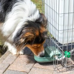 Automatische Tränke P-3 ABS Mit Tank Für Haustiere 26 Automatische Tränke P-3 ABS Mit Tank Für Haustiere -Optimal Ranchzaun Geschäft 560445 automatische traenke mit tank 4