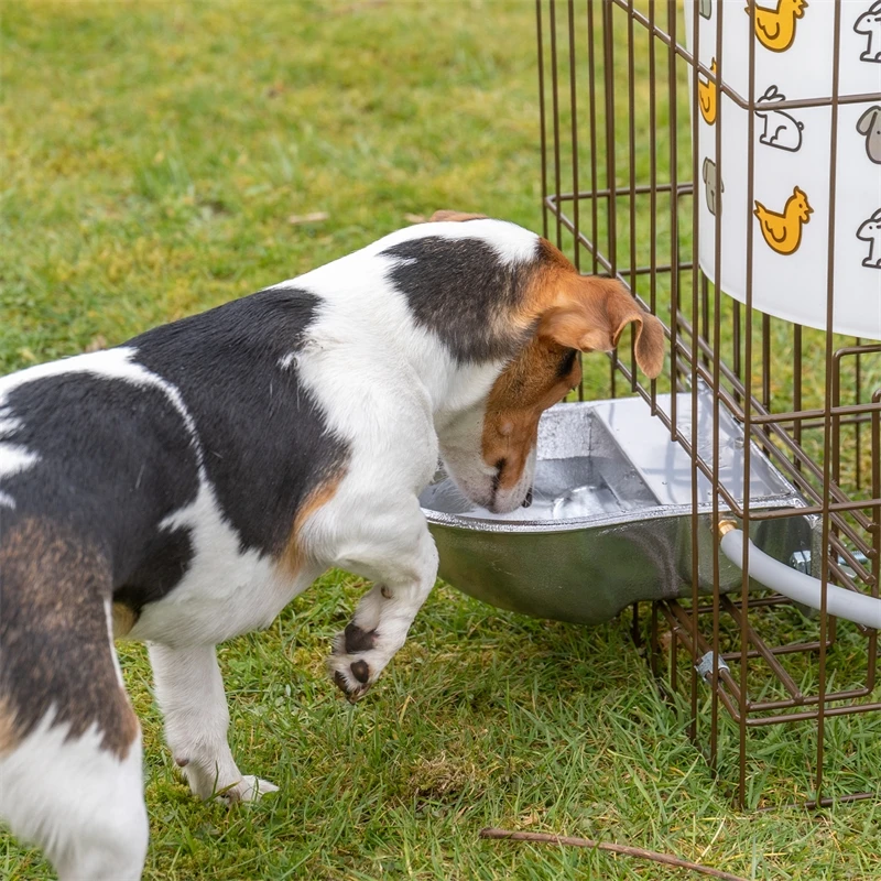 Automatiktränke Mit Alu Trinkschale, Inkl. Metallgestell & Tank 32 / 55 Liter 13 Automatiktränke Mit Alu Trinkschale, Inkl. Metallgestell & Tank 32 / 55 Liter – Bild 11