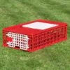 Geflügeltransportkiste, Bruchsicher, 2 Türen (95x57x24 Cm) -Optimal Ranchzaun Geschäft 560706 gefluegeltransportbox huehner transportbox