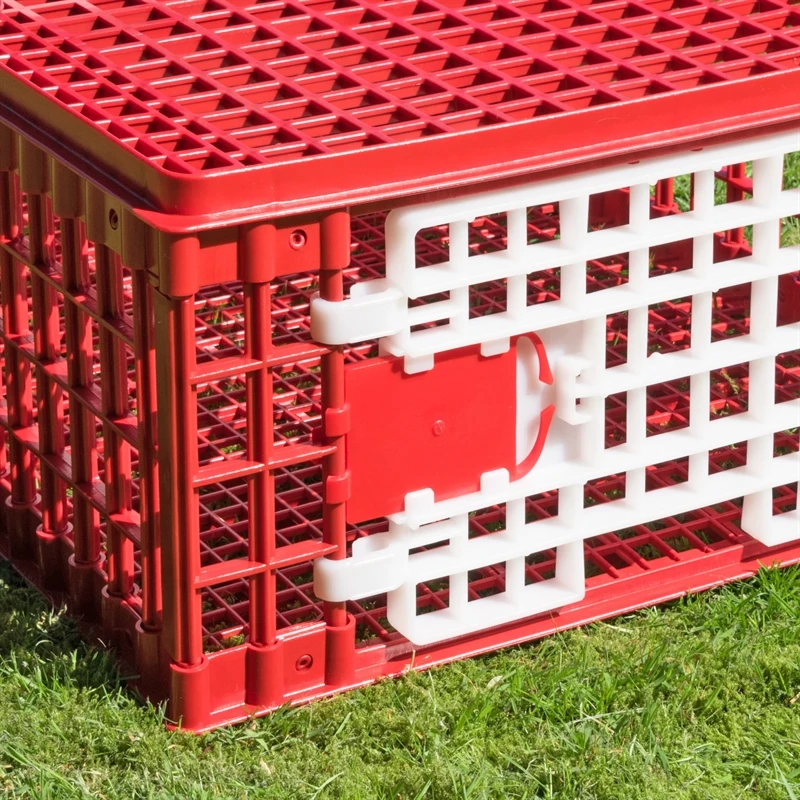 Geflügeltransportkiste, Bruchsicher, 2 Türen (95x57x24 Cm) 11 Geflügeltransportkiste, Bruchsicher, 2 Türen (95x57x24 Cm) – Bild 9