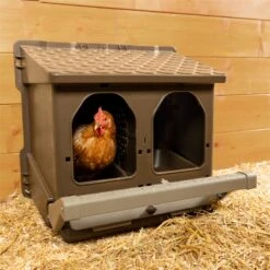 KERBL Doppel-Legenest Für Hühner - Abrollnest Aus Recyceltem Kunststoff, 2 Abteilungen -Optimal Ranchzaun Geschäft 561202 doppellegenest aus recyceltem kunststoff gefluegel