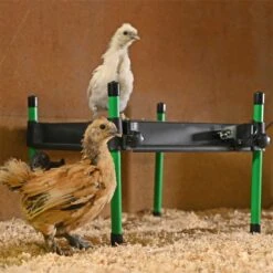 Küken Wärmeplatte "CosyHeat" - Kükenaufzucht, 30x30cm, 25W -Optimal Ranchzaun Geschäft 561730 kueken heiz platte cosyheat 30x30cm gezielte waermeableitung