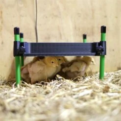 Küken Wärmeplatte "CosyHeat" - Kükenaufzucht, 30x30cm, 25W -Optimal Ranchzaun Geschäft 561730 kueken waerme platte cosyheat 30x30cm integriertes thermostat