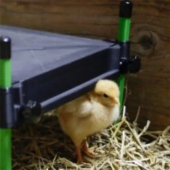 Küken Wärmeplatte "CosyHeat" - Kükenaufzucht, 30x30cm, 25W -Optimal Ranchzaun Geschäft 561730 kueken waermeplatte cosyheat 30x30cm energiesparend