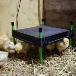Küken Wärmeplatte "CosyHeat" - Kükenaufzucht, 30x30cm, 25W -Optimal Ranchzaun Geschäft 561730 kueken waermeplatte cosyheat 30x30cm hoehenverstellbare standbeine