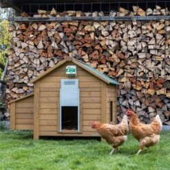 VOSS.farming "Chicken-Door Basic" - Automatische Hühnerklappe, Elektrische Hühnertür 13 VOSS.farming "Chicken-Door Basic" - Automatische Hühnerklappe, Elektrische Hühnertür -Optimal Ranchzaun Geschäft 561840 voss farming chickendoor basic unterschiedliche einstellmoeglichkeiten