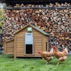 Kerbl Automatische Hühnerklappe Basic, Elektrische Hühnertür 15 Kerbl Automatische Hühnerklappe Basic, Elektrische Hühnertür -Optimal Ranchzaun Geschäft 561842 kerbl huehnertuer mini fuer huehner