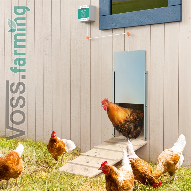 SET VOSS.farming Chicken-Door + Hühnerklappe, Alu 430 X 400mm 15 SET VOSS.farming Chicken-Door + Hühnerklappe, Alu 430 X 400mm – Bild 13