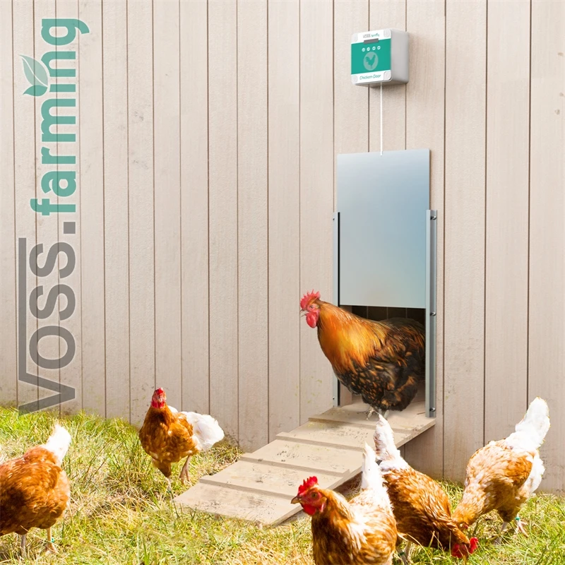 SET VOSS.farming Chicken-Door + Hühnerklappe, Alu 430 X 400mm 13 SET VOSS.farming Chicken-Door + Hühnerklappe, Alu 430 X 400mm – Bild 11