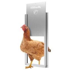 SET VOSS.farming Chicken-Door + Hühnerklappe, Alu 220 X 330mm + Solar-Akku 22 SET VOSS.farming Chicken-Door + Hühnerklappe, Alu 220 X 330mm + Solar-Akku -Optimal Ranchzaun Geschäft 561860 huehnerklappe schiebetuer aus aluminium 220x330mm