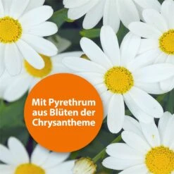 ARDAP GREEN Insektenspray, 750ml 13 ARDAP GREEN Insektenspray, 750ml -Optimal Ranchzaun Geschäft 562212 ardap mit pyrethrum aus blueten der chrysantheme