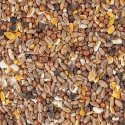 HAVENS "ENTEN- UND FASANEN-KÖRNERFUTTER", Für Geflügel Und Wasservögel, 25kg 17 HAVENS "ENTEN- UND FASANEN-KÖRNERFUTTER", Für Geflügel Und Wasservögel, 25kg -Optimal Ranchzaun Geschäft 563305 6 havens green line futter fuer gefluegel und wasservoegel 25kg entenfutter