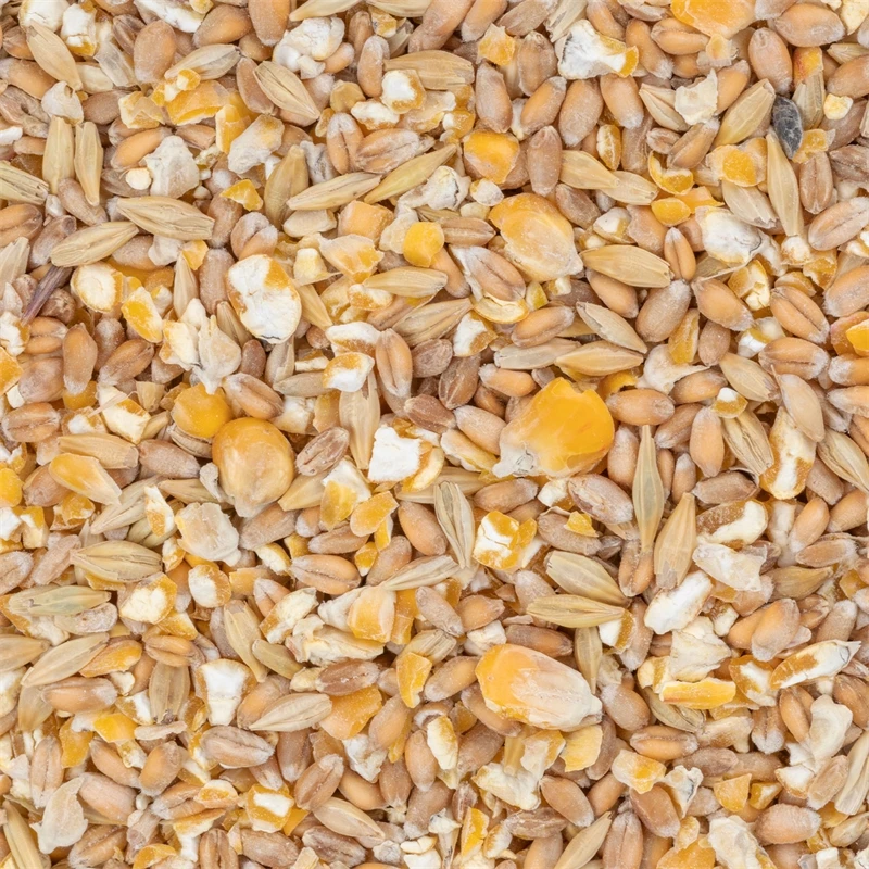 Deuka Körner Extra, Geflügelfutter 25kg 8 Deuka Körner Extra, Geflügelfutter 25kg – Bild 6