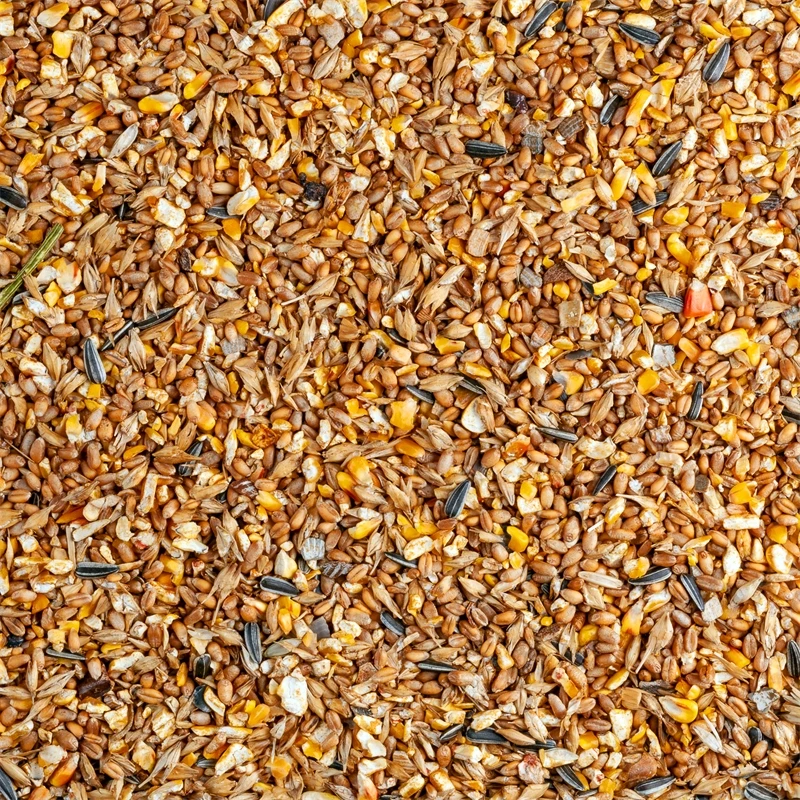 VOSS.vital - Hühnerfutter, Chickencorn Plus, 29kg 11 VOSS.vital - Hühnerfutter, Chickencorn Plus, 29kg – Bild 9