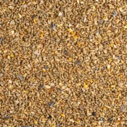 VOSS.vital - Hühnerfutter, Chickencorn MAX, 29kg 19 VOSS.vital - Hühnerfutter, Chickencorn MAX, 29kg -Optimal Ranchzaun Geschäft 563335 voss vital chickencorn max gefluegelfutter koernerfutter mit legepellets streufutter 15kg