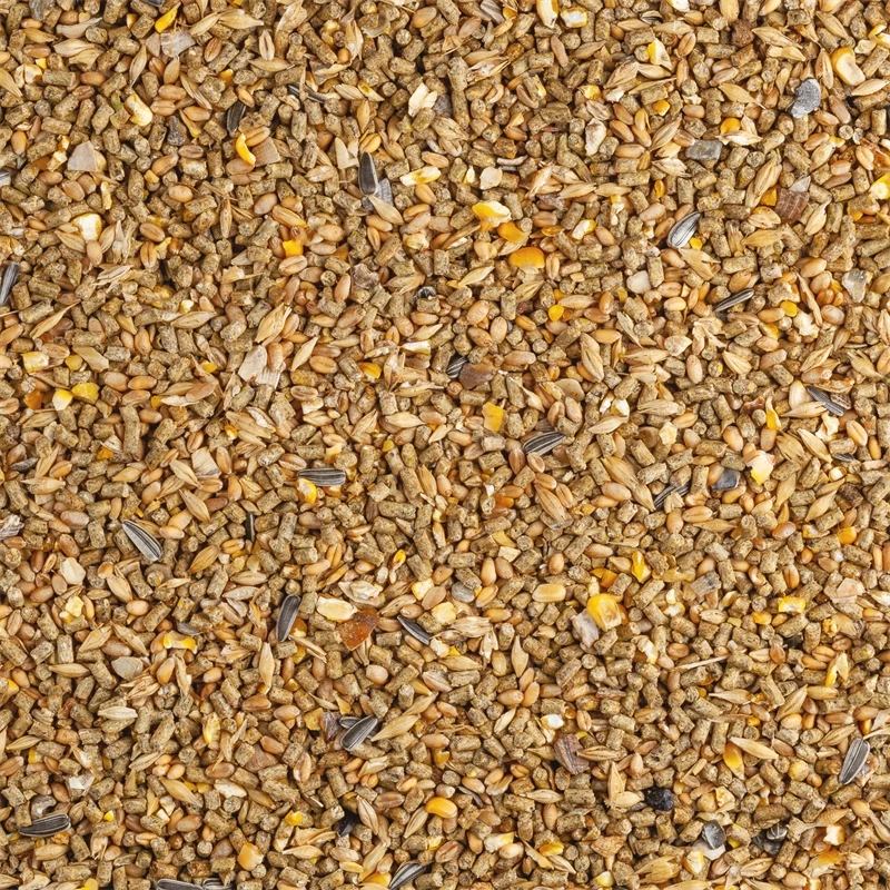 VOSS.vital - Hühnerfutter, Chickencorn MAX, 29kg 11 VOSS.vital - Hühnerfutter, Chickencorn MAX, 29kg – Bild 9