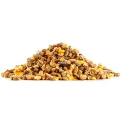 VOSS.vital - Hühnerfutter, Chickencorn MAX, 29kg 14 VOSS.vital - Hühnerfutter, Chickencorn MAX, 29kg -Optimal Ranchzaun Geschäft 563335 voss vital chickencorn max legehennenfutter streufutter grob geschrotet fuer futterautomaten