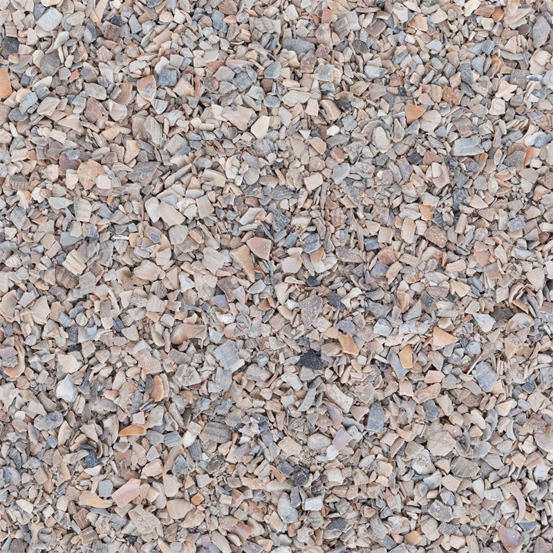 Ostrea Muschelkalk, 25 Kg 13 Ostrea Muschelkalk, 25 Kg – Bild 11