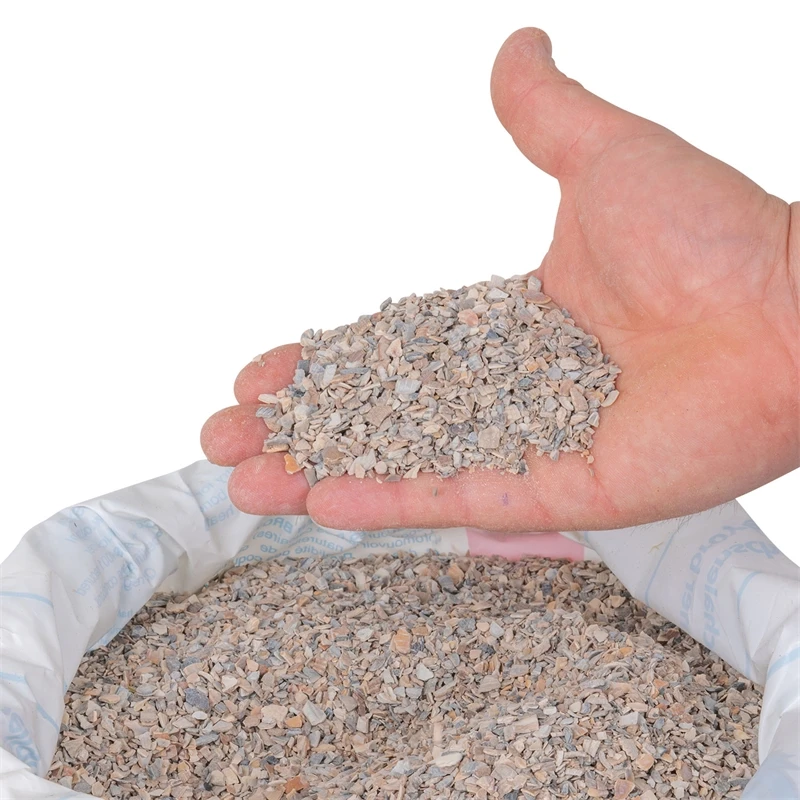 Ostrea Muschelkalk, 25 Kg 12 Ostrea Muschelkalk, 25 Kg – Bild 10