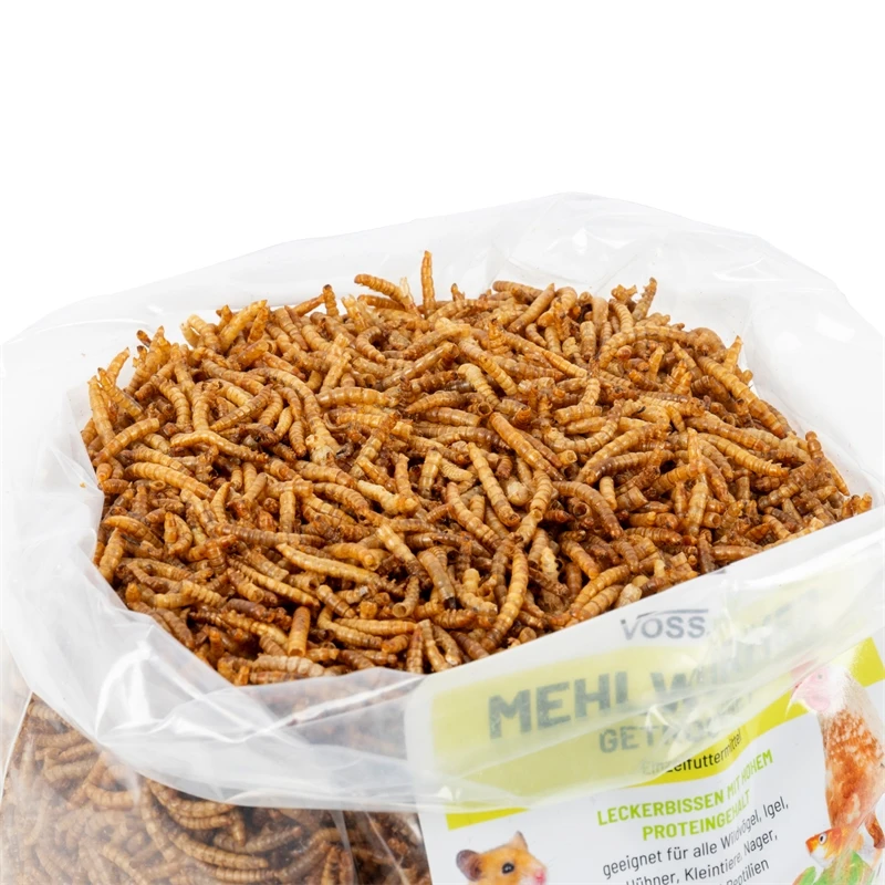 VOSS.vital "Mehlwürmer" Getrocknet, Leckerbissen Mit Hohem Proteingehalt, 1kg 5 VOSS.vital "Mehlwürmer" Getrocknet, Leckerbissen Mit Hohem Proteingehalt, 1kg – Bild 3